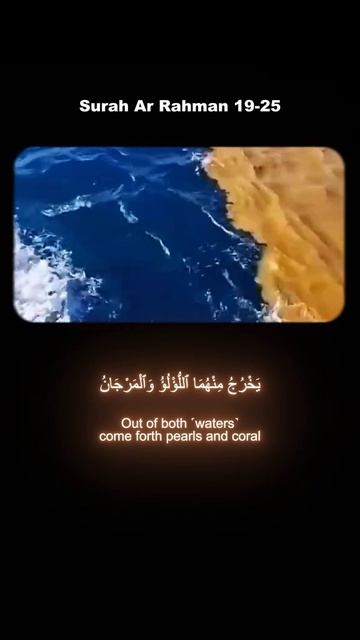 100 YEARS OF ZENIT: Happy birthday, great club! смотреть онлайн