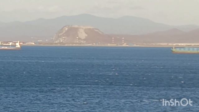 Ветрище и холодина, Находка, 19 окт 2024