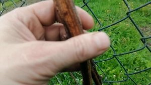 Посадки, вытяжка в доме.