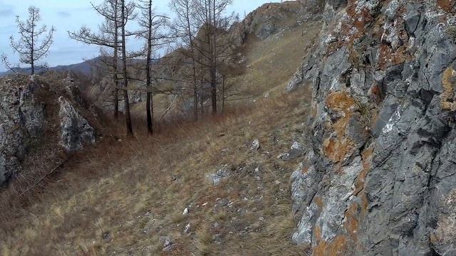 гора Амога, Хакасия 01.05.2024 смотреть онлайн