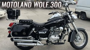 Motoland Wolf 300 - Экспресс обзор