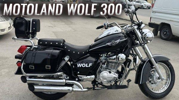 Motoland Wolf 300 - Экспресс обзор