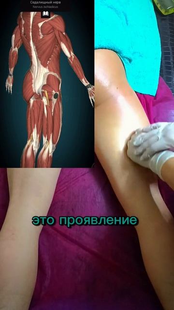 Точка Сборки