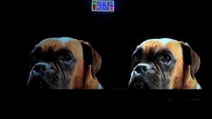 Sony Bravia 8 против Bravia 9 | OLED или Mini LED