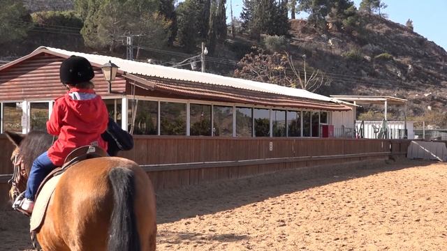 Верховая езда c нуля  Уроки верховой езды Конный клуб