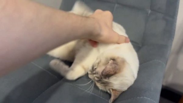 Стоит ли  покупать Macbook Pro 2017  В 2025 ГОДУ. Почему я перехо?