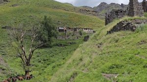 Поездка в село МАЗА Ахтынский р-он. #село#горы#кавказ