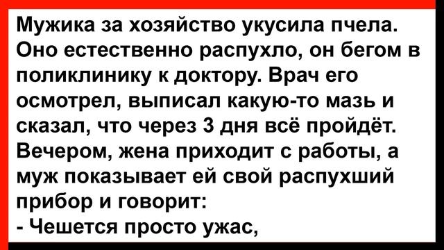 Как жена мужу помогала почесать... Анекдоты! Юмор! Пози?