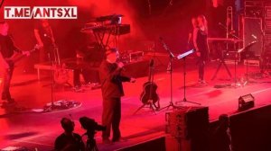 DDT Berlin 2025 - ДДТ - РОДИНА