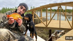 Вау! Поймал редкого золотого карася! Сделал каркас на дом на дереве. Шаурма из тушонки
