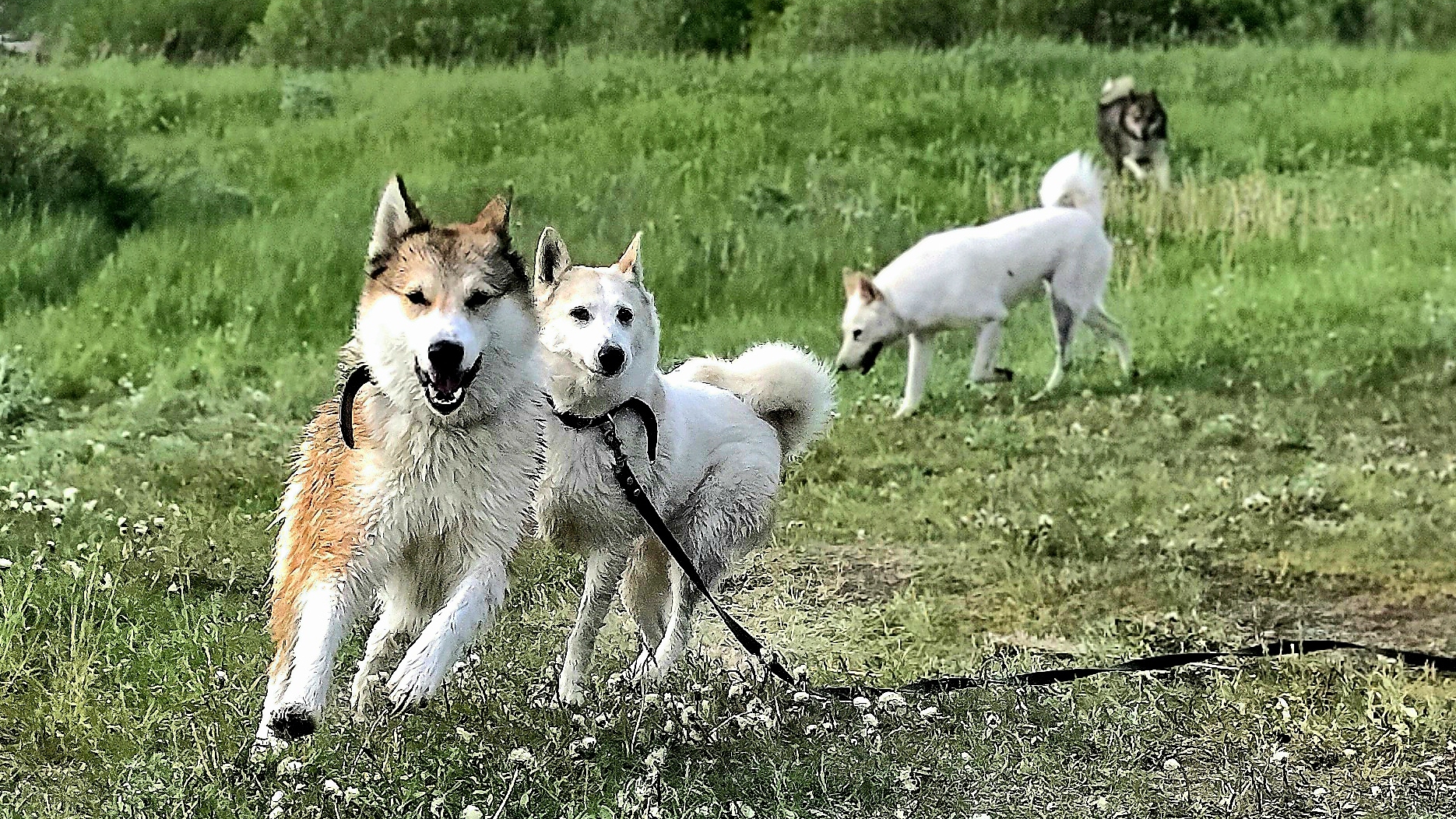 На старом месте