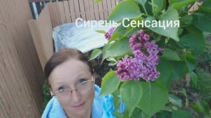 Видео привет с 6 соток 26 мая 2025 года.