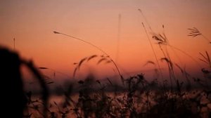 Самая МОЩНАЯ Мантра для ИСПОЛНЕНИЯ Желаний