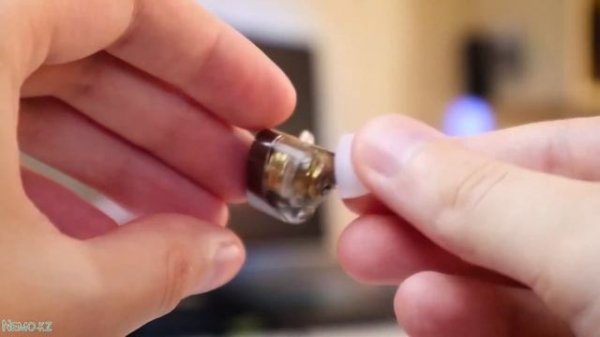 Наушники Knowledge Zenith KZ Castor Bass черный