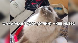 Сахарная пудра (Отчим) – KSB Muzic