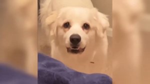 5 РЕАЛЬНЫХ СКИНВОЛКЕРОВ СНЯТЫХ НА КАМЕРУ **ОНИ СУЩЕСТВ?