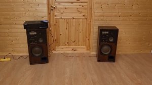 Колонки РАДИОТЕХНИКА 35АС-1 – первые и самые лучшие в р?