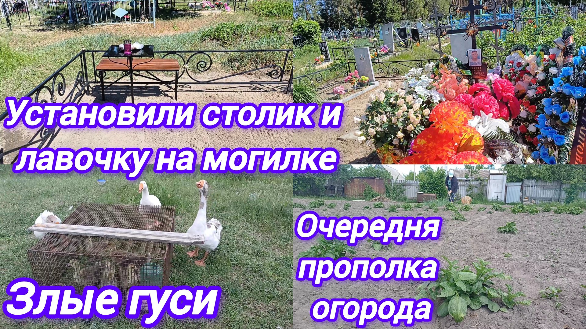 УБОРКА НА МОГИЛКЕ. СТАВИМ СТОЛИК СО СКАМЕЙКОЙ. ОГОРОД. ГУСИ. смотреть онлайн