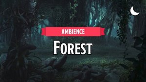 Forest (Night) D&D TTRPG Ambience 1 Hour by Bardify