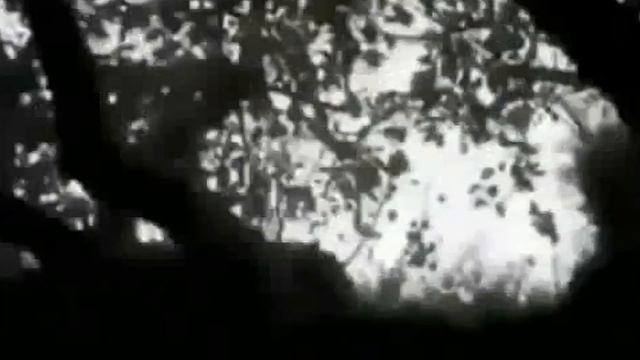 Топ 10 МИСТЕРИОЗНИ Същества Заснети На Камера смотреть онлайн