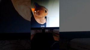 HAMSTER PLAY ROBLOX?! Brookhaven and hamster play 🐹