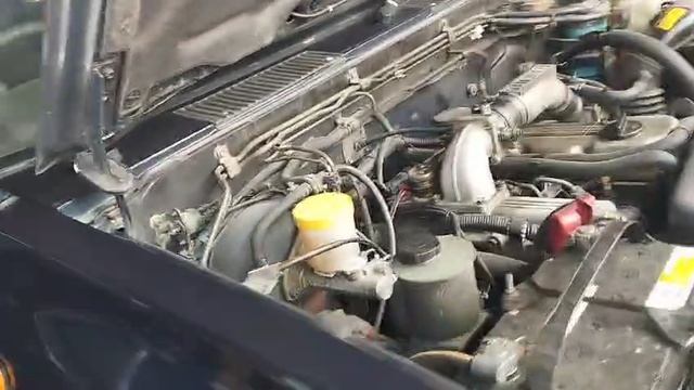 5390.mp4 смотреть онлайн
