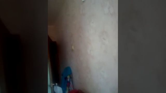 Прикол бабушки не понимает что Что тяжелее килограмм железа или килограмм ваты Как так можно смотреть онлайн