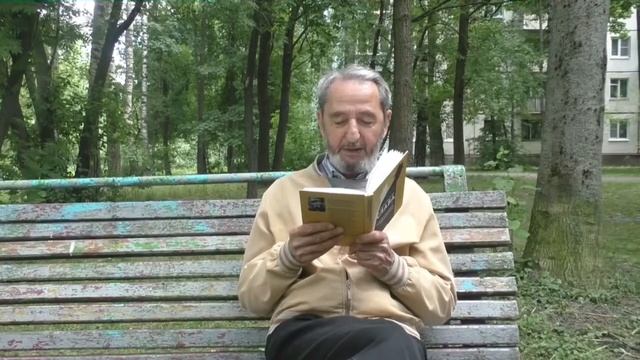 А.М.Гиневский "Инструкция по овладению иностранными языками" смотреть онлайн