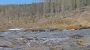 К истокам нашей любимой реки. Хариус в верховьях весной.