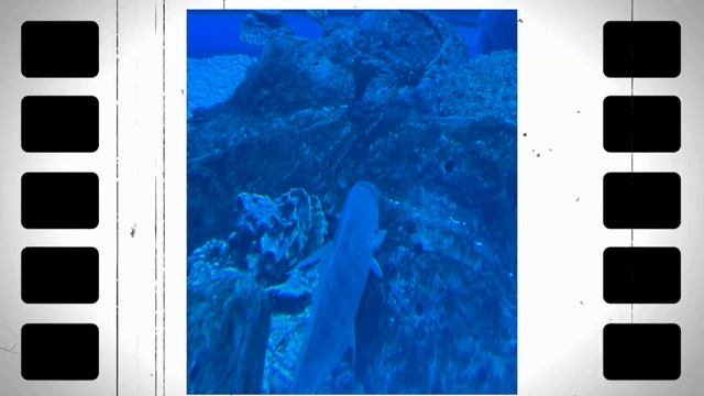 ДУБАЙ: Достопримечательности, Небоскрёбы и Роскошь, ч?