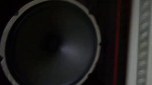 Динамик низкочастотный L-3711, производства RFT