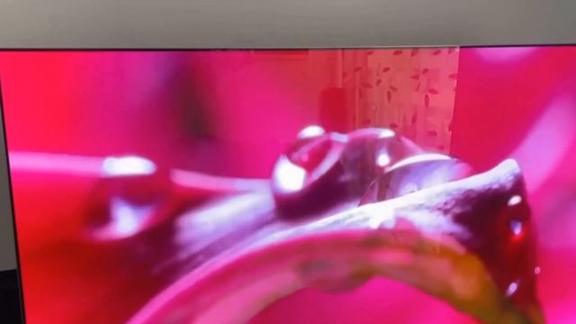 Телевизор LG 43QNED80T6A 2024 смотреть онлайн