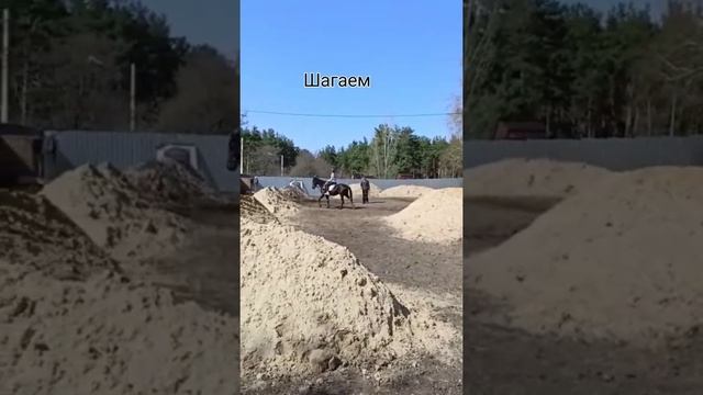 тренеровка/конный спорт/первое видео 🐴 смотреть онлайн