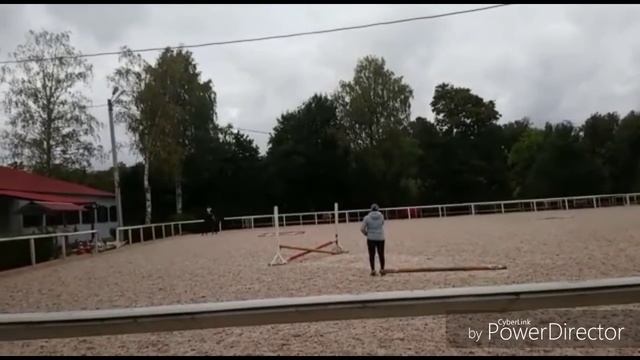 ВЛОГ.КСК Осиновая роща. Осинка.Конкур смотреть онлайн