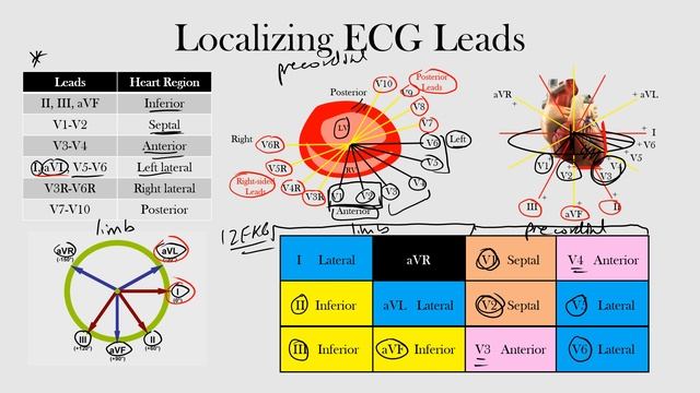 11.Localizing ECG Leads смотреть онлайн