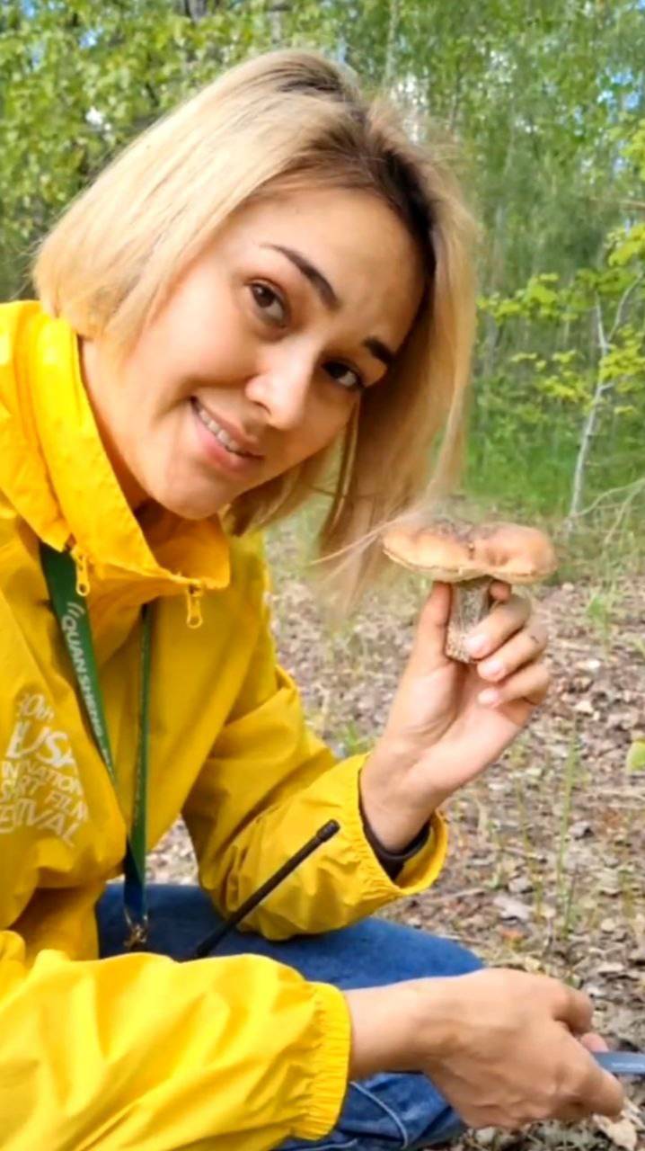 сезон ТИХАЯ ОХОТА 2025 и первые грибы. Поход за грибами и эмоции грибников. смотреть онлайн