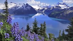 Прости мне этот детский каприз Поль Мориа.