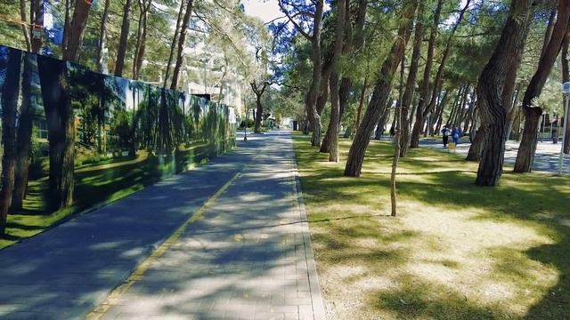 набережная Геленджик 2025. Пробная прогулка. смотреть онлайн