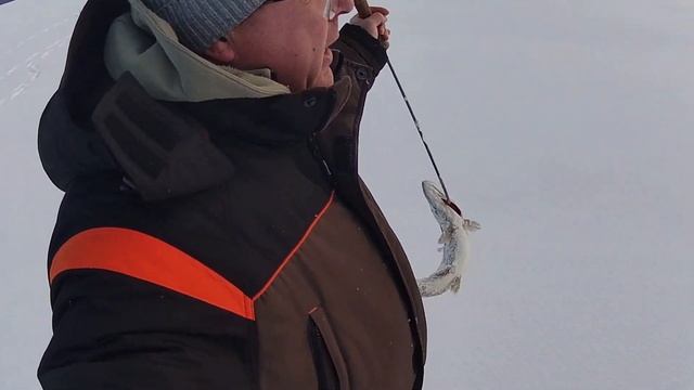 оз. САМРО . Устал бегать . Загар за загаром. смотреть онлайн