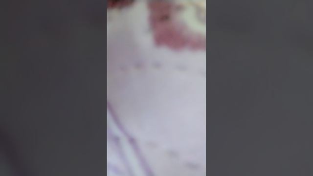 гатовая песня смотреть онлайн