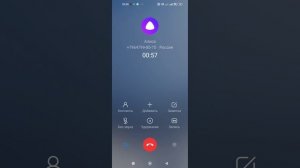 Мне звонит Алиса ч.1