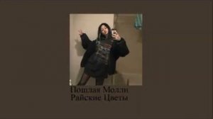 ПОШЛАЯ МОЛЛИ - райские цветы 🌸🌺