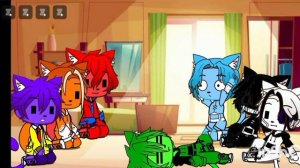 разноцветные коты в 1 комнате 24 часа 4/5