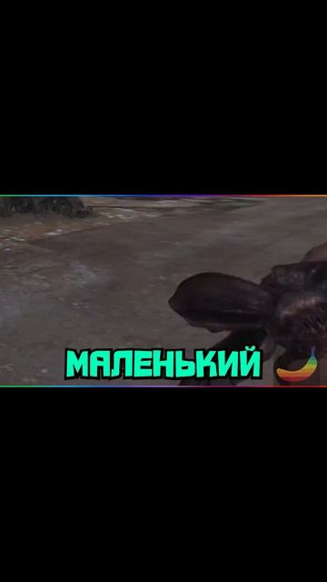 Милашка :3 #huntshowdown #игры #мемы