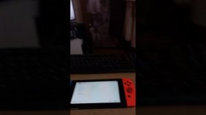 Запуск компьютерных игр на Nintendo switch ( через moonlight)