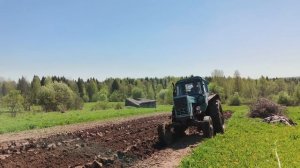 Огород вспахали,черёмуха зацвела.