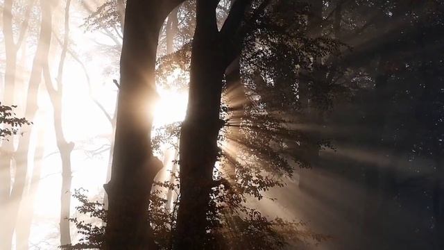 Ирину разбудил звонок по телефону мужа ( он спал) Она о? смотреть онлайн