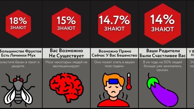 Об Этом Лучше Не Знать!