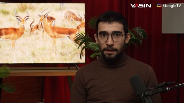 YASIN Телевизор G13K GoogleTV 4KUHD