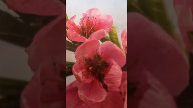 Грехи женщины, которые губят её семью и потомков, Лазорев